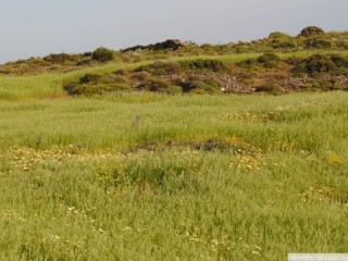 dsc_1046
