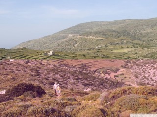 dsc_1130