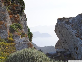 dsc_1131