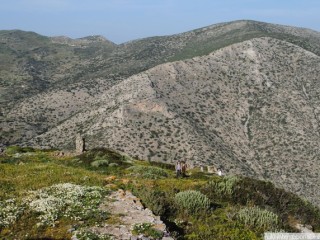 dsc_1133