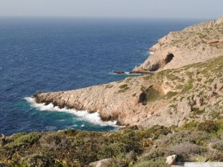 dsc_1177