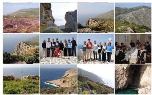 bilder 2